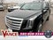 2020 Cadillac Escalade 4WD Platinum
